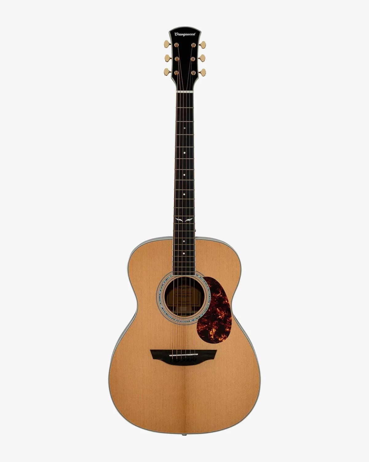 F410 Acoustic Guitar